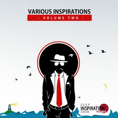 Various Inspirations - Vol 2 / Art Of Voyage - Flying Again [DISR03]