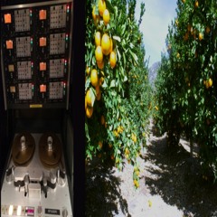 2 Sister$ (i dont care)