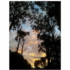 Evening