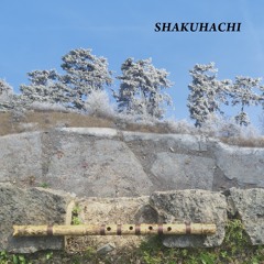Shakuhachi (in a quite reflective environment)