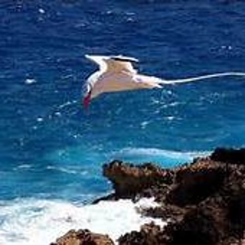 Sona Noyan_Kaun Phoolwa_Sega RemIx 2K17_[dJkEnAsh mIx]_(ShaaN DilEsh)