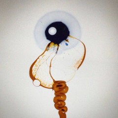 TOM MAAS - HAPPY ELECTRONICS