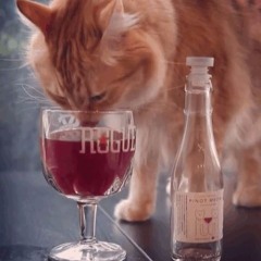 Insolite: le vin pour chats arrive !