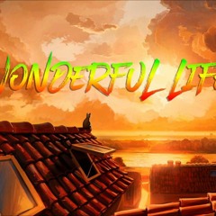 Newlojik - Wonderful Life