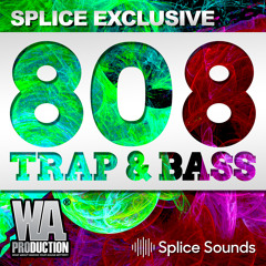 DIRTY 808 Trap & Bass Samples | SPLICE Exclusive