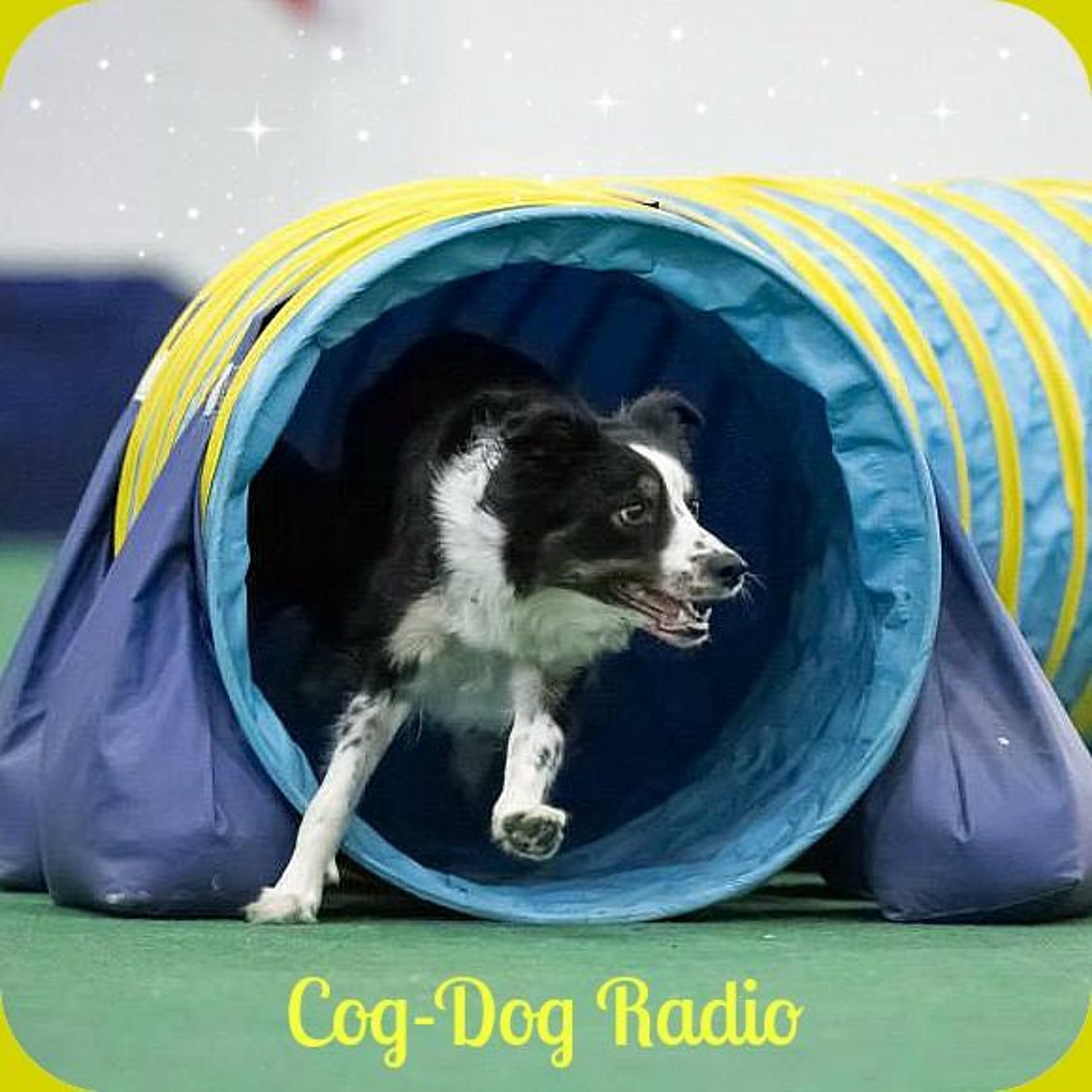 Cog-Dog Radio