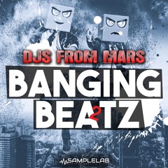 Djs From Mars Banging Beatz Vol.2 Demo