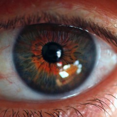 sound of the eye - Chantelle Gray (excerpt)