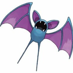 Them Damn Zubats!!!