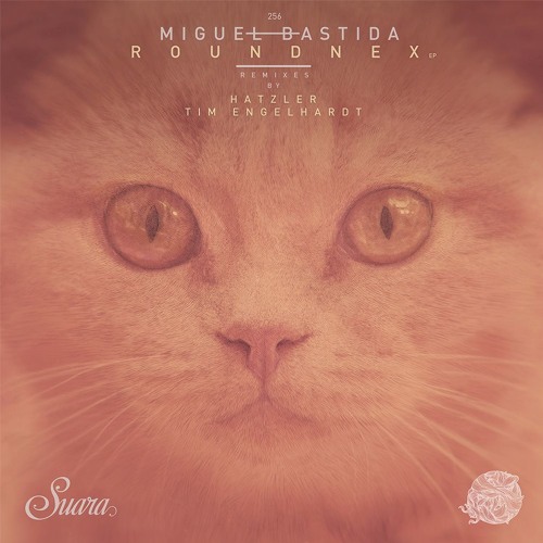 [Suara 256] Miguel Bastida - Ecos (Original Mix)Snippet