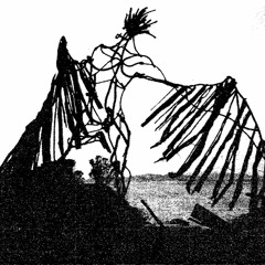 Ulaan Passerine - "Unwinding"