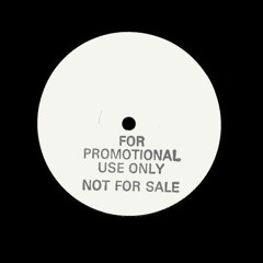 Public Enemy - Rebel Without The Noise