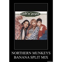 Salt n Pepa - Shoop (Northern Munkeys Banana Split Mix)