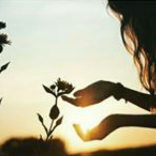 Müzeyyen senar Gamzedeyim deva bulmam مترجمة اغنية مسلسل عطر الامس.mp3