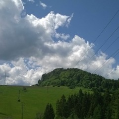 hash of things 2017 demo