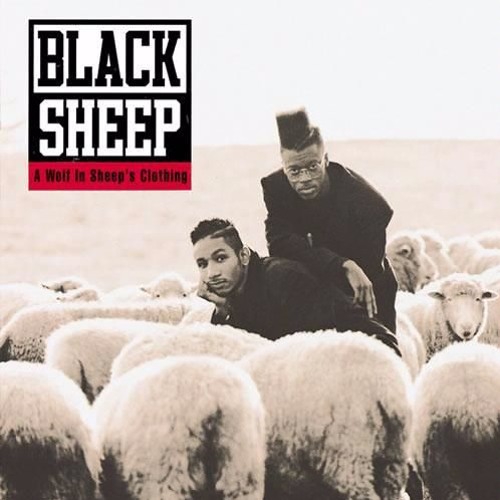 Black Sheep - The Choice Is Yours (FAST)