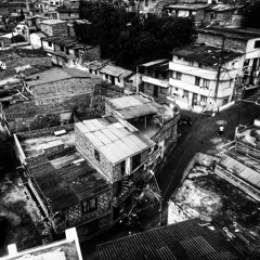 Devred - Jungle Champion original