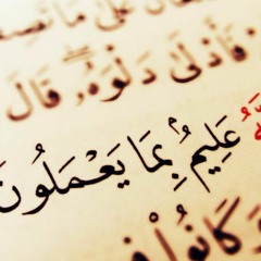 إن هذا لفي الصحف الأولى _ الشيخ محمود الشحات أنور