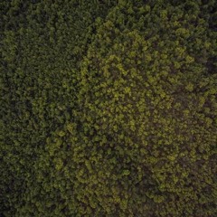 Laundered (Sean Pierce Remix)