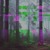 Artwork for The Forest With No Name