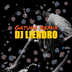 Gatuno Remix - DJ LIENDRO ( Miau Mix )