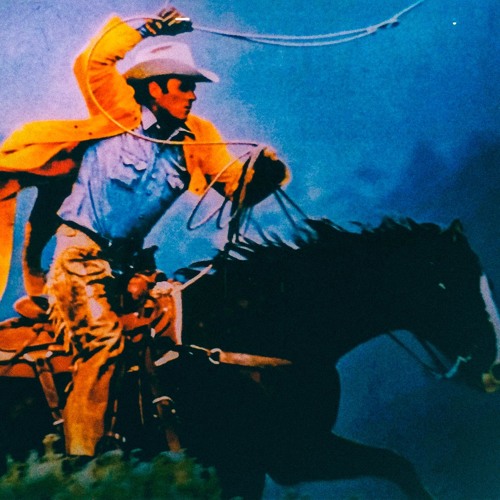 Cowboy Soul (with Monsoon Cortex)