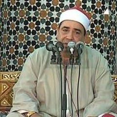الشيخ محمود الخشت سورة يوسف