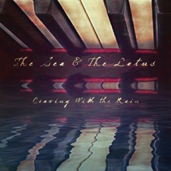 Leaving with the rain