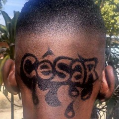 Mc Cesar Do Castro - Tropa Do Bixo Perigo 2017