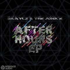 Skaylz & The Junk - E-Rogue Transmission(Clip)