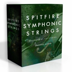 AF - SPITFIRE - SSS - Track