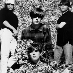 i wanna be adored (cover stone roses)