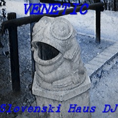 Slovenski Haus DJ