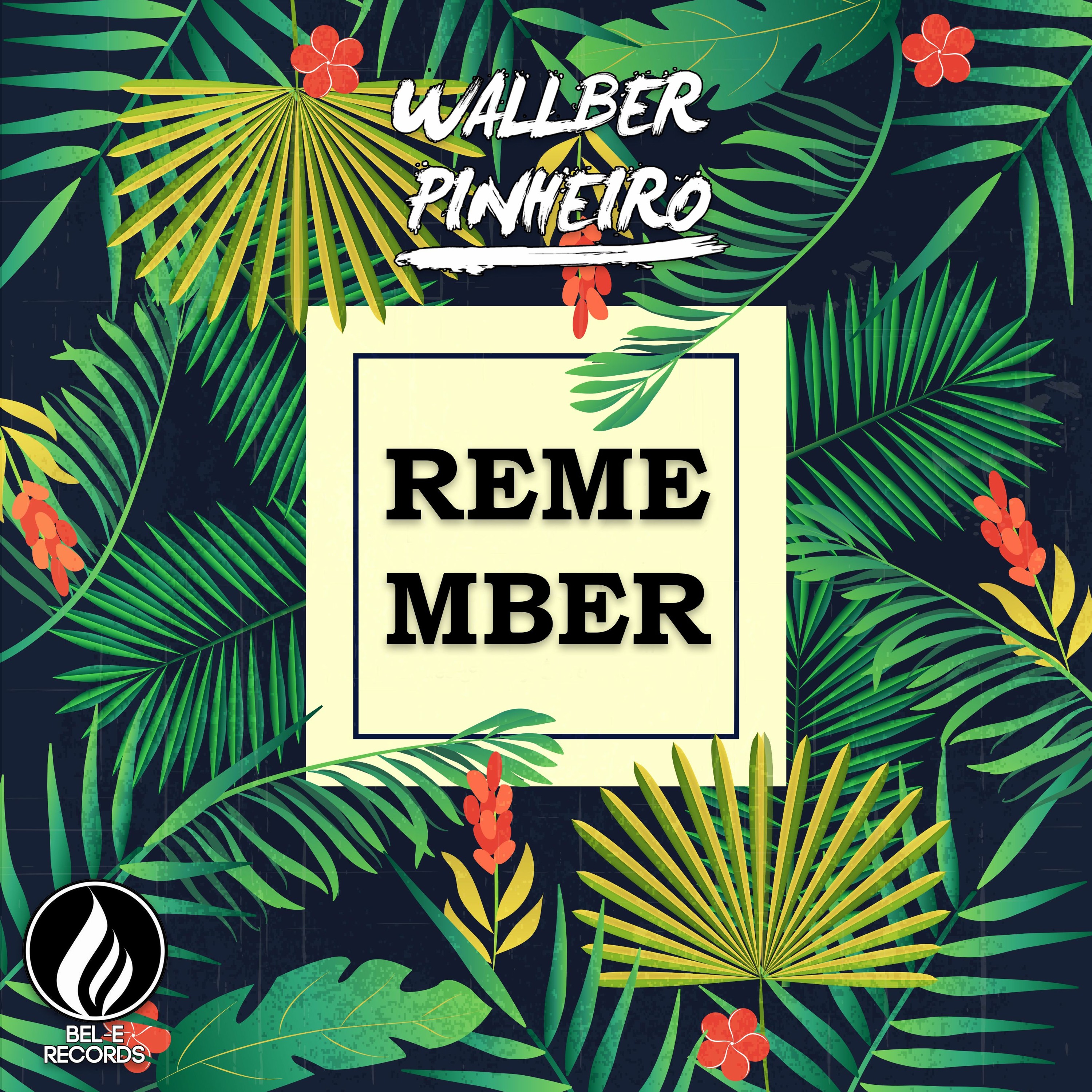 Remember episode artwork