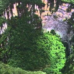 15EIGHTONESEVEN2BWACID