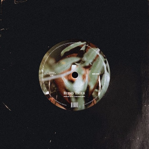 blind tiger (ft. maximus mmc)