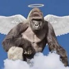 Harambe's Chode