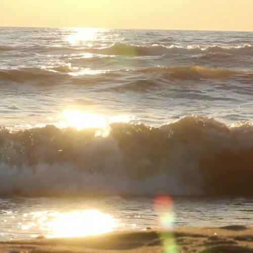 "Serenity" - Ambient Flute Loops