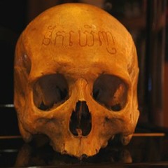 SCP-1123