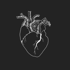 Control y desquicio / POCKZA / 3 Puntos Fem