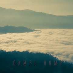 Lo-Fi - Camel Hump