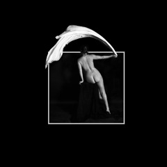 Connected (Ft. Capo Havok, King Havok)