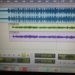 The New Disciples Healer