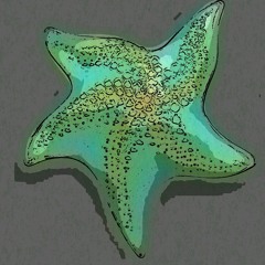 Lucky Starfish