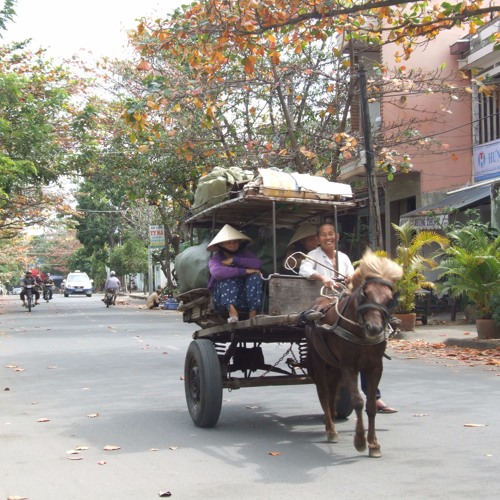 Tình Xưa Nghĩa Cũ 2 - Hamlet Trương ft Trần Việt Dương