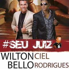 'SEU JUIZ'  nova canção de Wilton Bello, com participação de Ciel Rodrigues