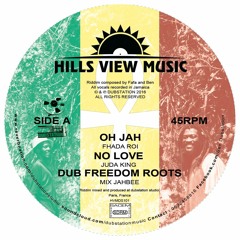 FREEDOM ROOTS RIDDIM-DUBSTATION-Hills View Music-Vinyl 10" and Digital at Rubadubstation.com