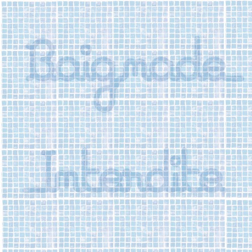 STARTING BLOCK - Baignade Interdite - Campus Fm Toulouse