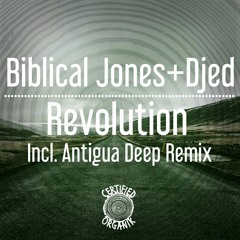 Revolution Antigua Deep Remix 96kbs