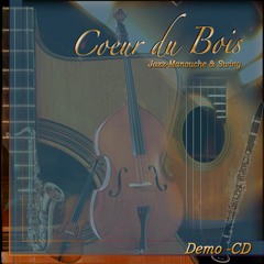 Bertino & le coeur du bois (Jazz-Manouche & more)
